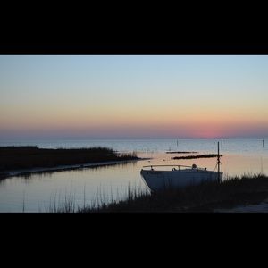 Meet your Posher, Monica